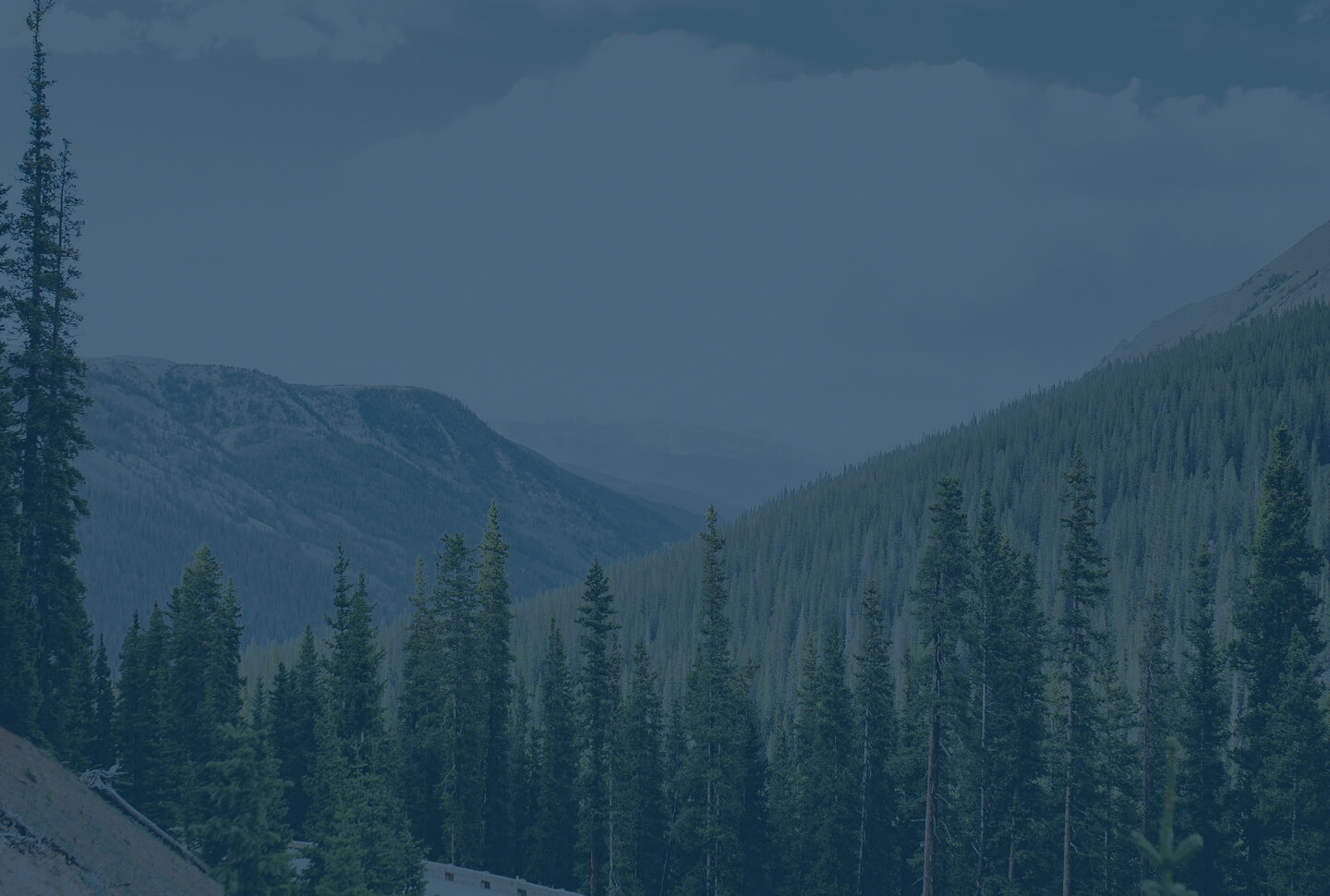 estate planning in lakewood
