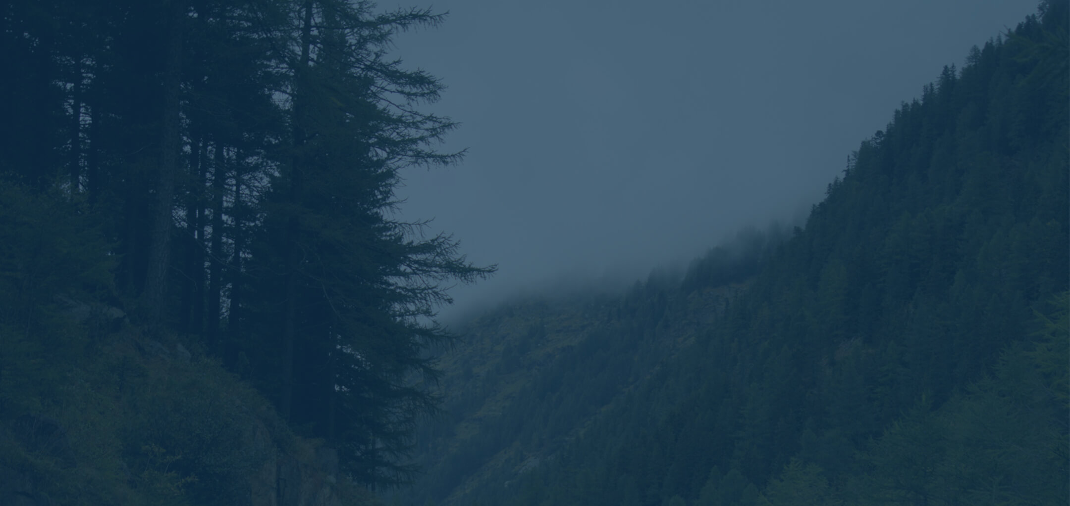 frequently-asked-questions-hero-banner frequently asked questions hero banner