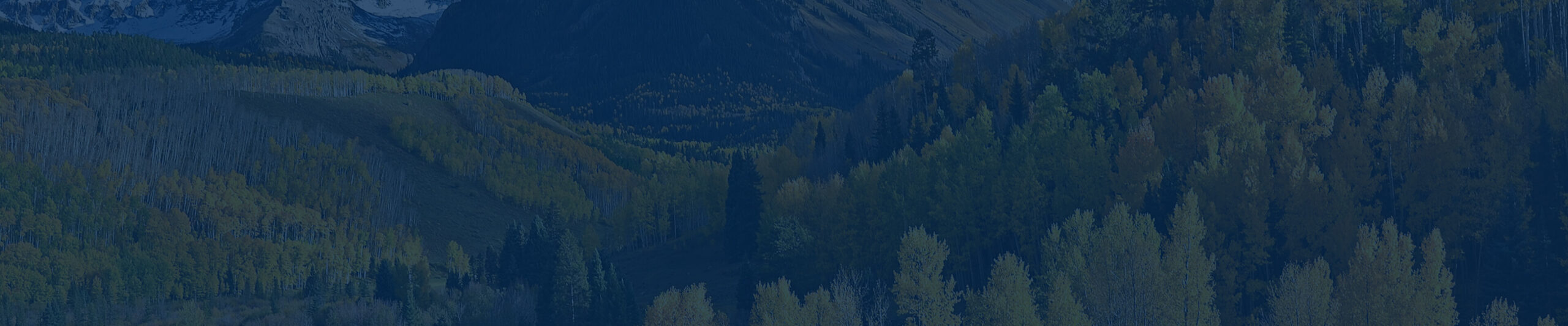 wealth management and retirement