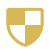ShieldCheckered icon gold