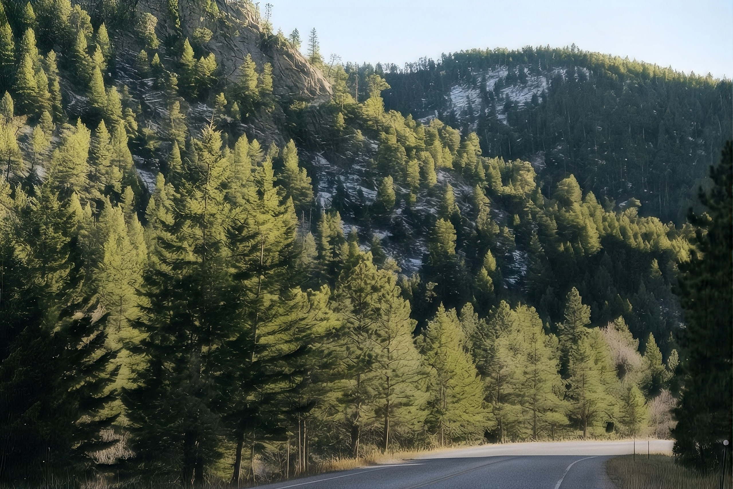 wealthclarity-services-hero-mobile Forested Colorado mountainside rising above a winding canyon road